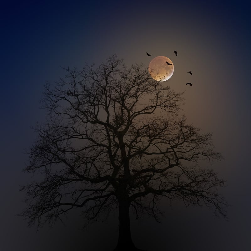 Moon Magic Moments